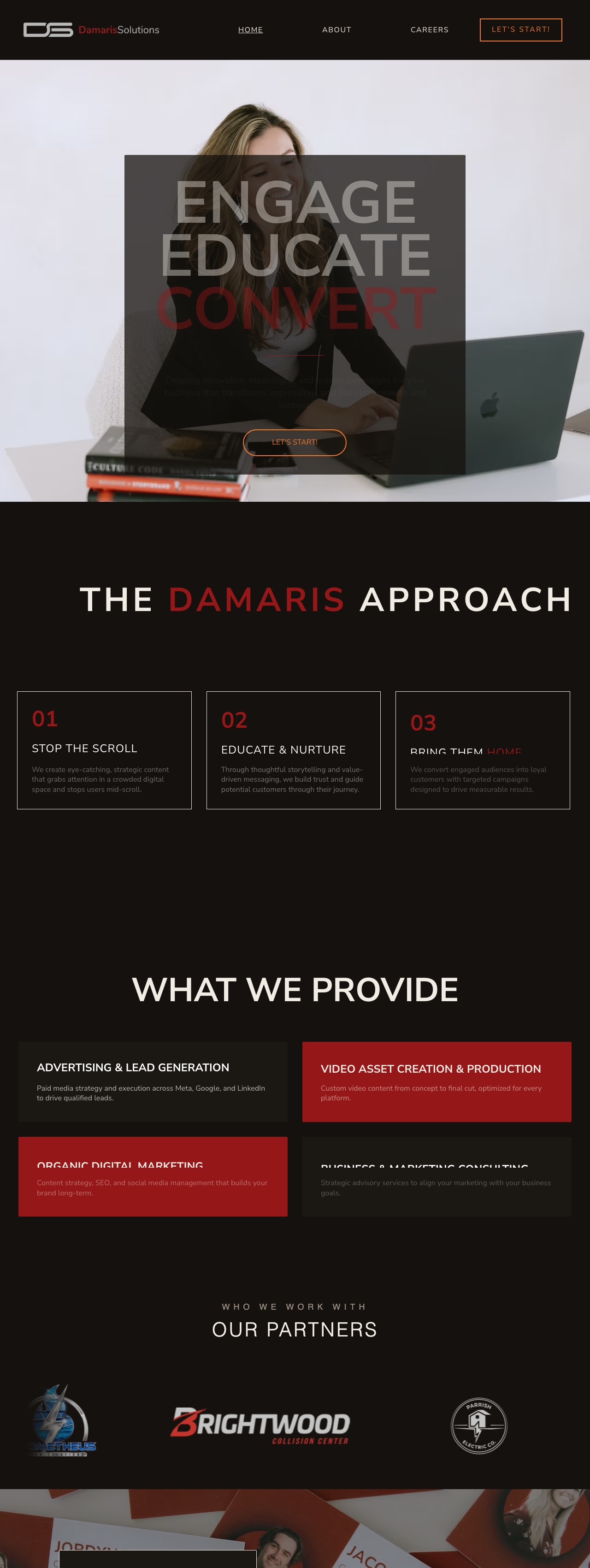 Damaris Solutions website